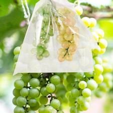 50 Pcs Grape Protection Bag Celophane Bags Breathable Pouches Paper Breeding