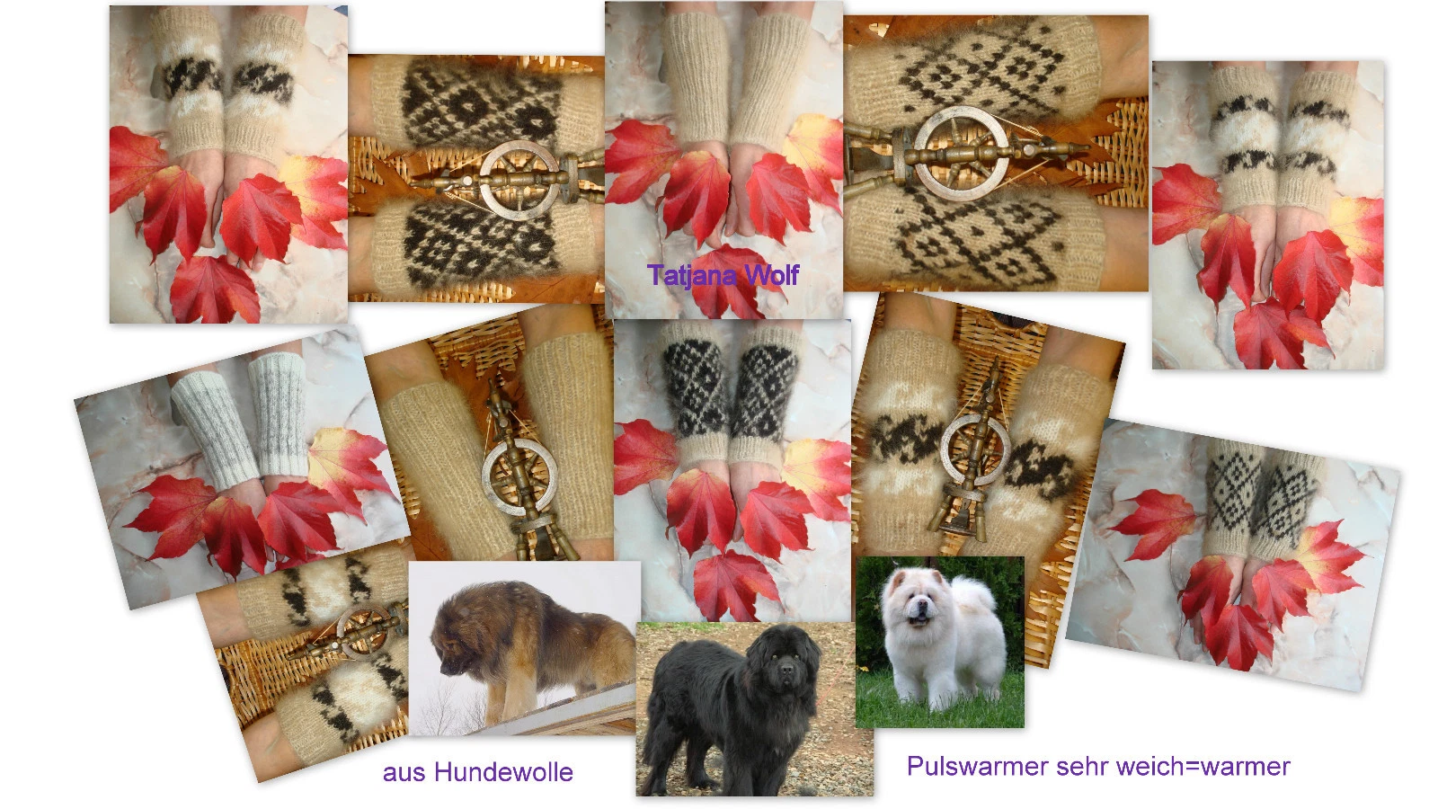 Bild 8 von 11