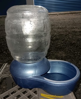 Petmate Replendish Gravity Waterer Cat and Dog 0.5 GAL  Blue