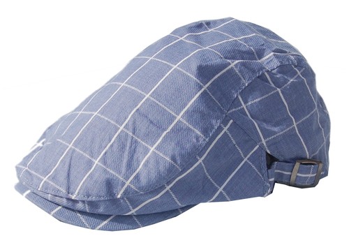Cool4 Light Blue Checked Flatcap Gatsby 