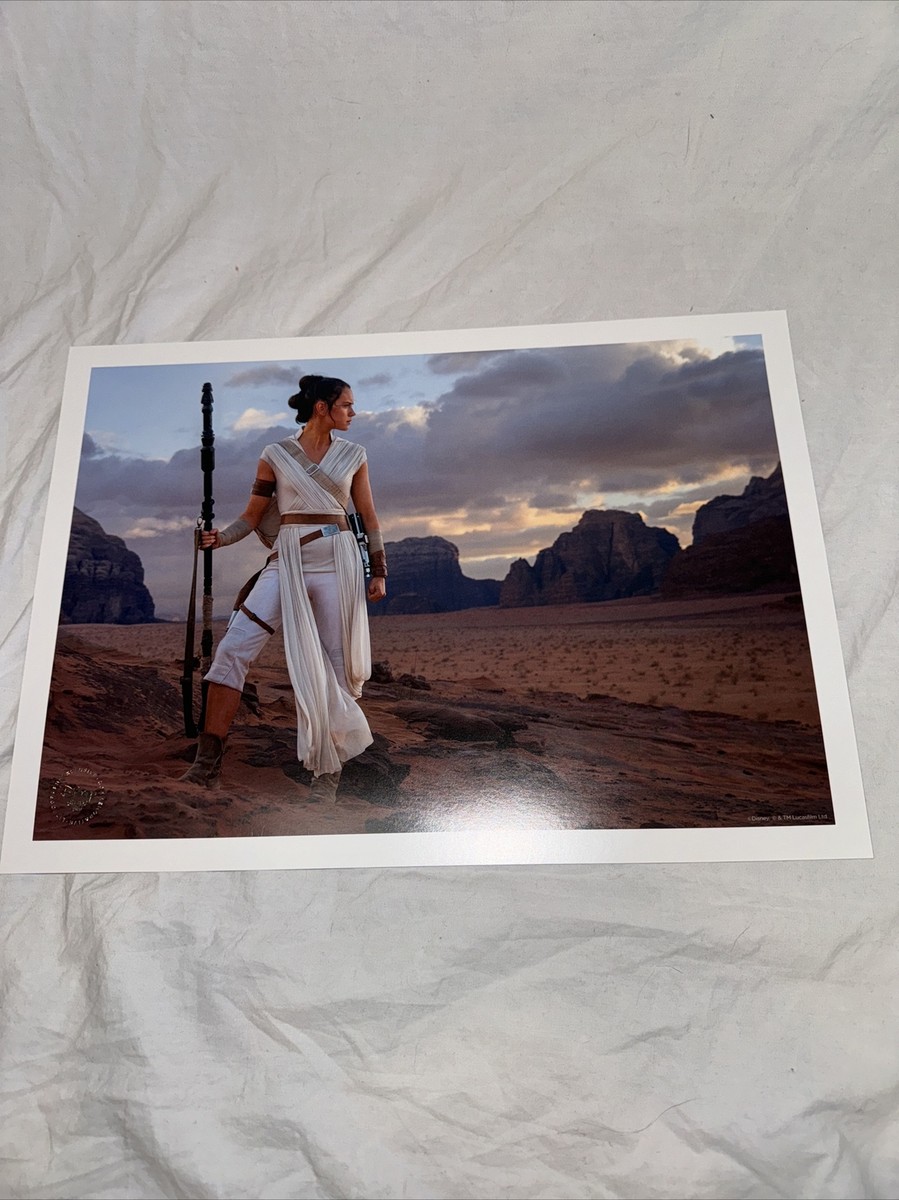 Disney -Star Wars Disney Store Exclusive Lithograph Set (4 Disney -Star Wars Disney Store Exclusive Lithograph Set (4