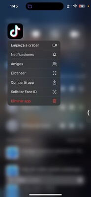 iPhone 14 Pro Max  Tiktok App