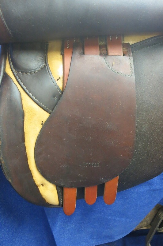 Picture 5 of 11