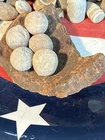 Dug Civil War 💥 🇺🇸 💣 Cannonball Frag W Case Shot
