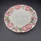 Vintage Stangl Hand Painted Cosmos 10.25” Dinner Plate, Trenton, NJ
