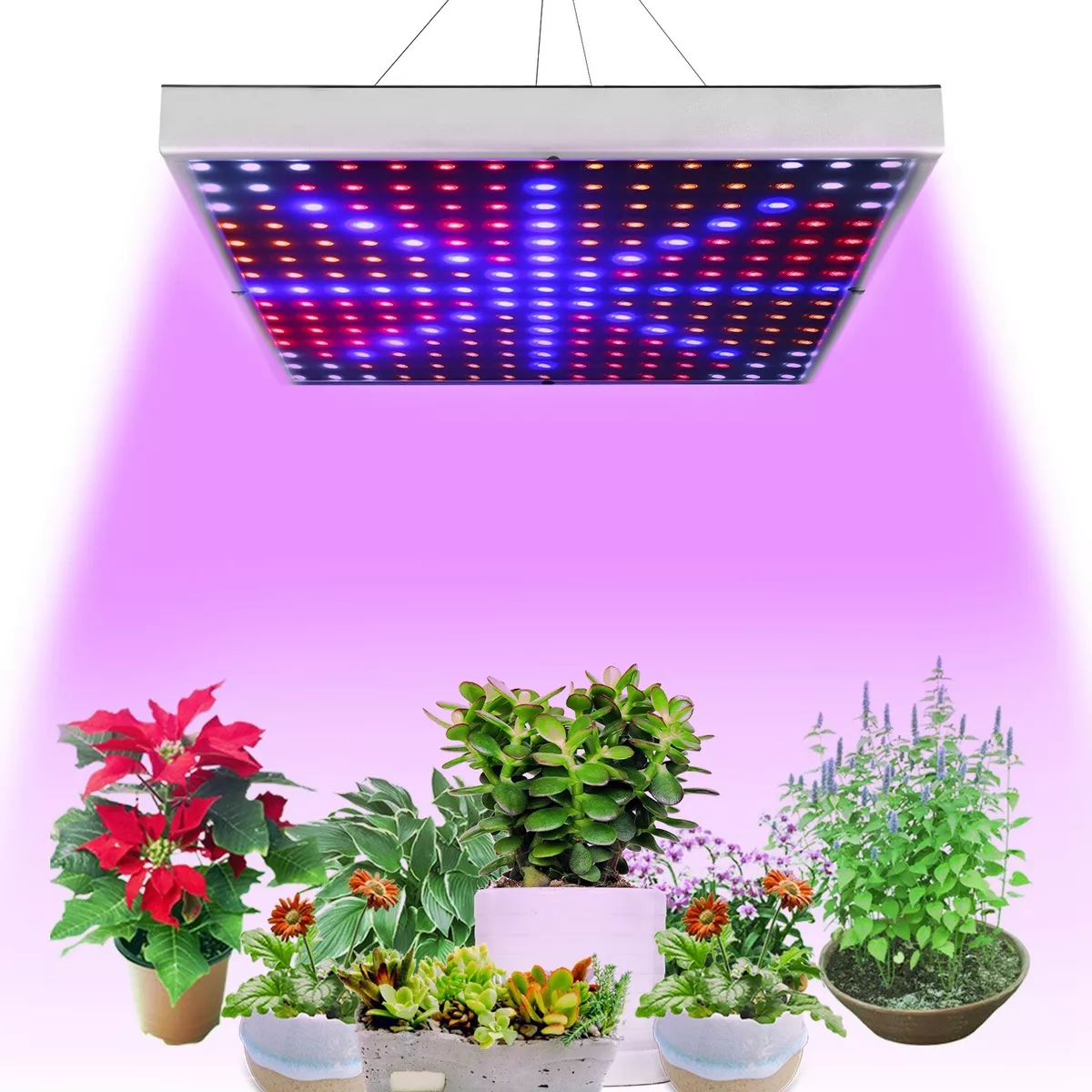 Heat lights for plants deals