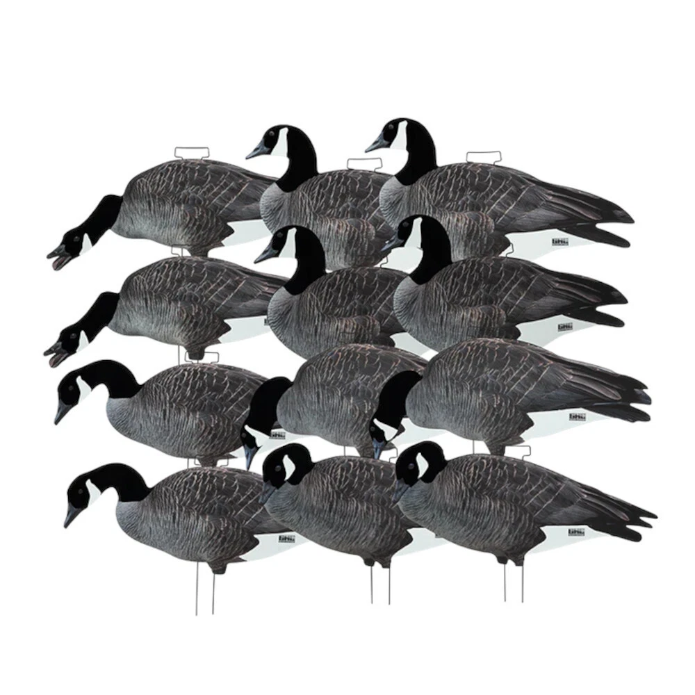 Avery Greenhead Gear FFD Pro Grade Canada Goose Silhouette Decoys