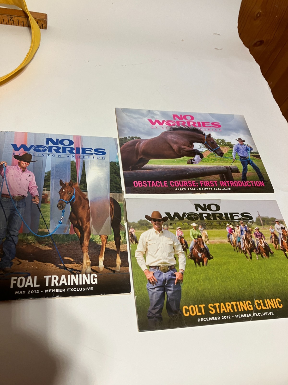 Clinton Anderson No Worries Club 16 Supplemental DVD's with Tote Bag & Catalog