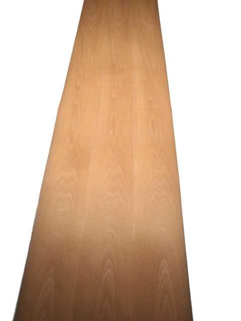 Chapa de haya madera chapa de haya reforzada con vellón 250x60-62cm
