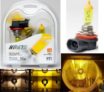 Nokya 2500K Yellow H11 Nok7618 55W Two Bulbs Head Light Low Beam Replacement Fit