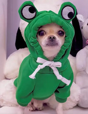 Cute Frog Dog Sweater Warm Pet Hoodie Soft Cozy Outfit for Small Medium Dogs USA
