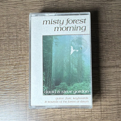 David & Steve Gordon Misty Forest Morning Cassette New Age Sequoia Guitar Flute