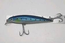 Rapala 6" X-rap Jerkbait.