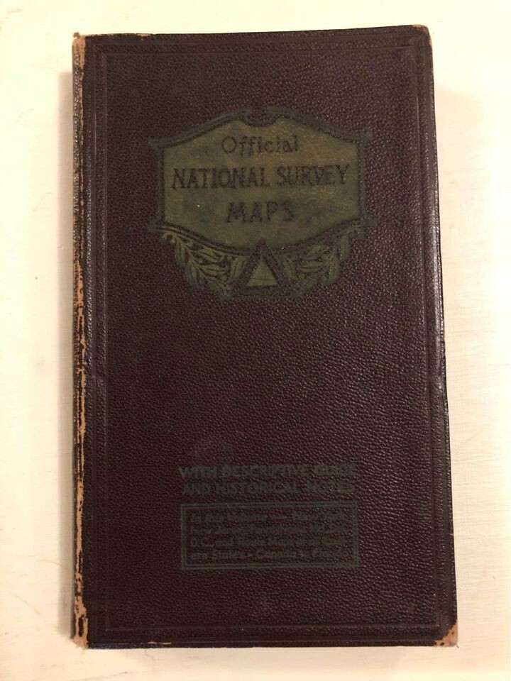 Surveyor Market Item for Sale