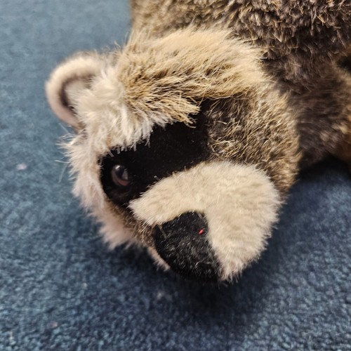 Raccoon Kosen / Kösen - plush collectable soft toy - 4200 - 26cm 10.25 in. V3b - Picture 6 of 13