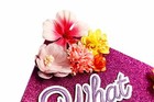 Imagen 15 de 18