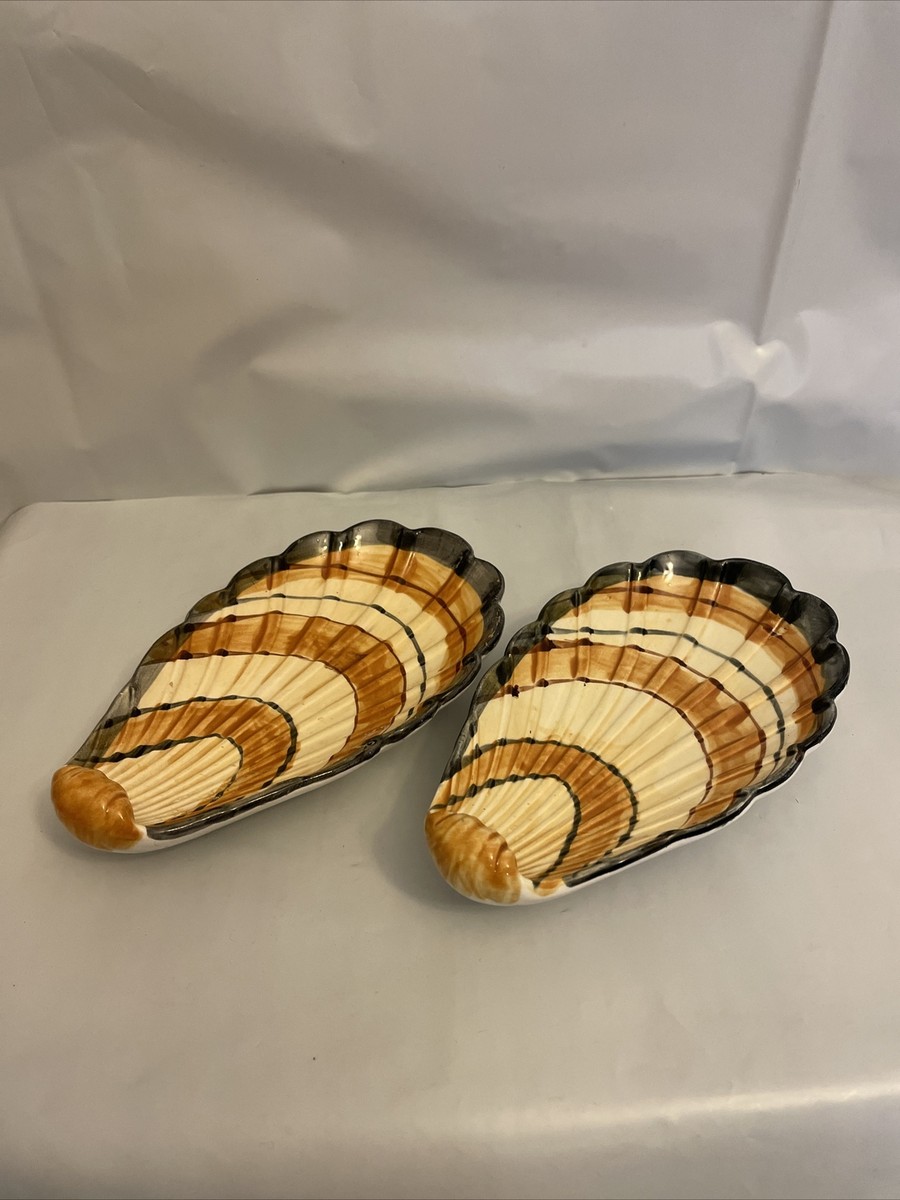 Coquilles Saint-Jacques Naturelles Du Japon - Pour Décoration, Artisanat, Collection