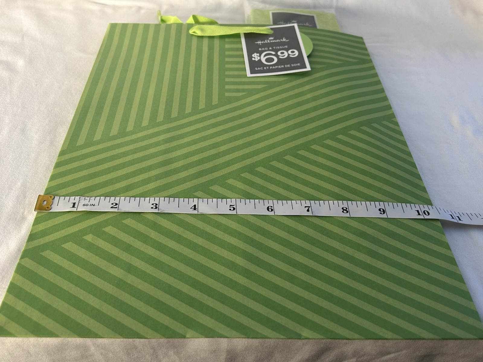 Hallmark Large Gift Bag with Tissue - Green Striped Pattern