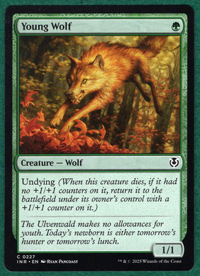Young Wolf - Innistrad Remastered INR #0227 - Magic: The Gathering MTG Card