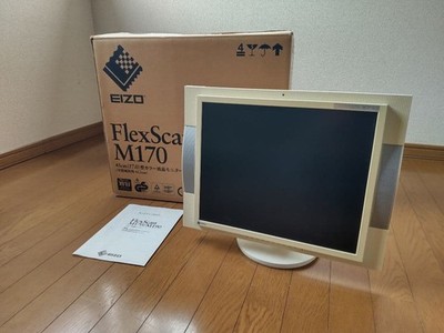 EIZO FlexScan M170-WT 17 Inch LCD Monitor with VESA Mount and Cables