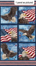 Stars  Stripes Patriotic cotton fabric Northcott 27879-49 24x43" Panel Eagle