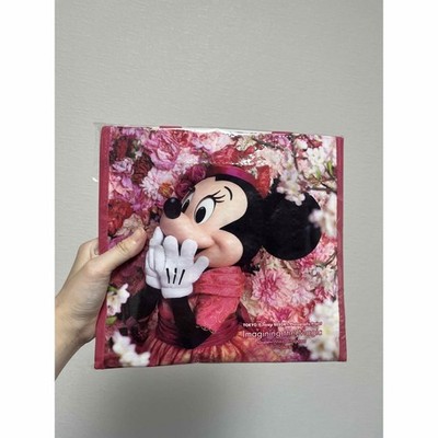 Disney Imagining the Magic Minnie Real Photo Book (Old Face)