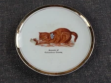 Antique Dresden China Souvenir Of Columbus Grove Cat Watching Mouse Trap Plate