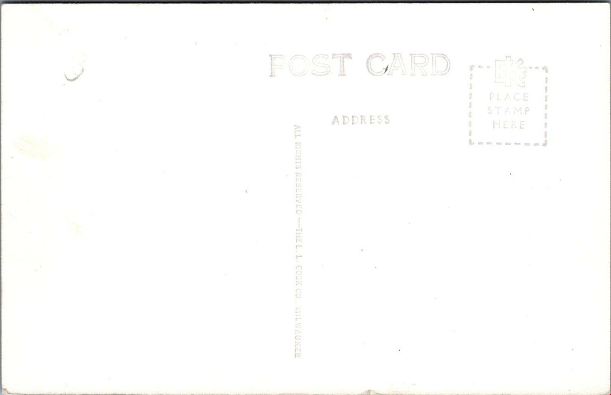 RPPC Postcard Suspension Bridge Over Little Colorado River Cameron