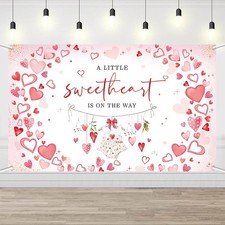 Sweetheart Baby Shower Backdrop Girl Red Hearts Photography 6x3.6 Feet