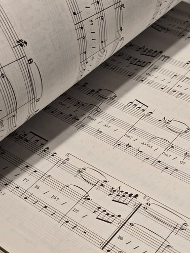 Brand New Giant Combo Fake Book Sheet Music Songbook / Over 115 Songs - Picture 5 of 5