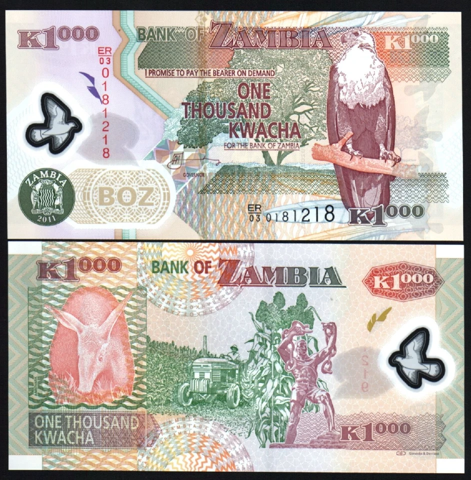ZAMBIA 1000 KWACHA P-44 2011 x 1 Pcs UNC Zambian GIRAFFE POLYMER MONEY BANK NOTE - Image 3 of 4