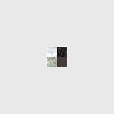 [CD] Haruka / 800 / End Of All / Ref:Rain -3 Nuits Ver.- (First Press Limited E_