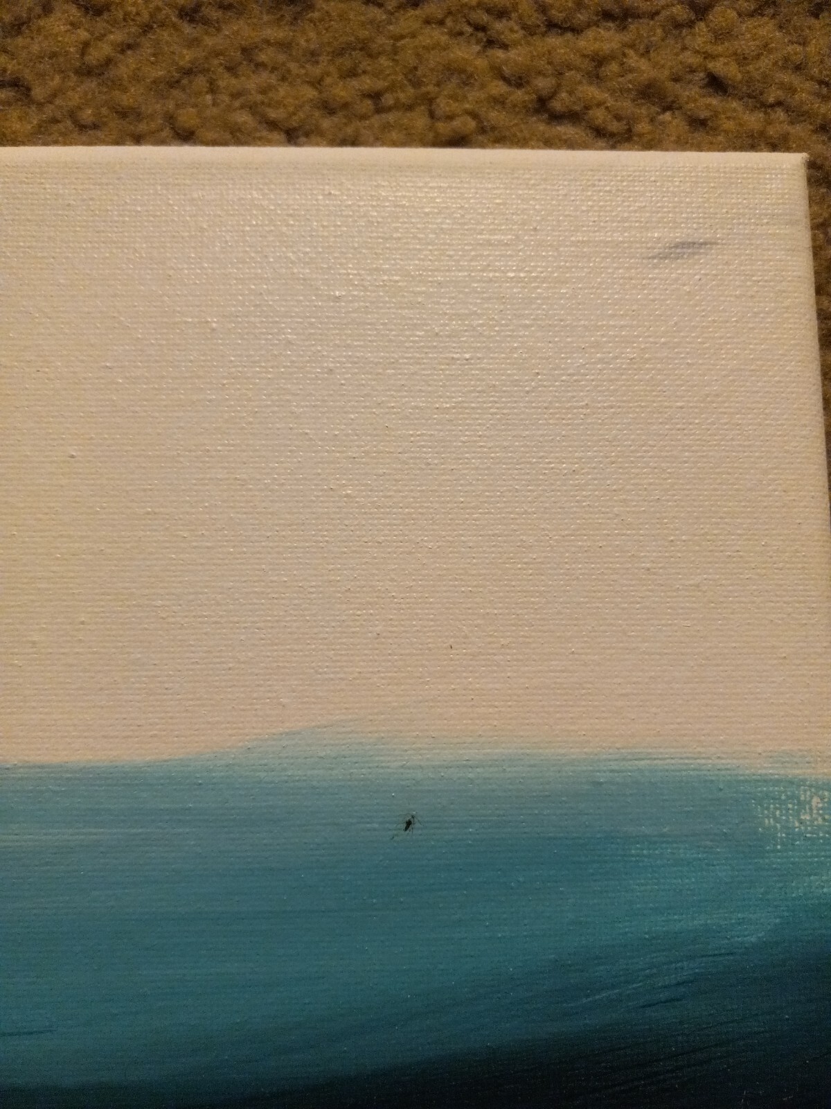 Picture 11 of 14