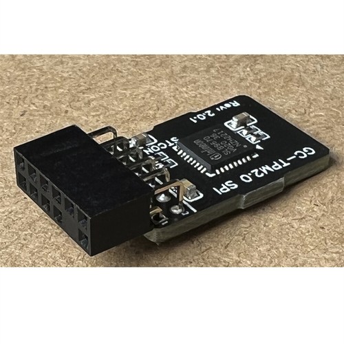 TPM 2.0 Module fit for GIGABYTE GC-TPM2.0 SPI TPM Module (12 Pin 12-1) - Afbeelding 3 van 5