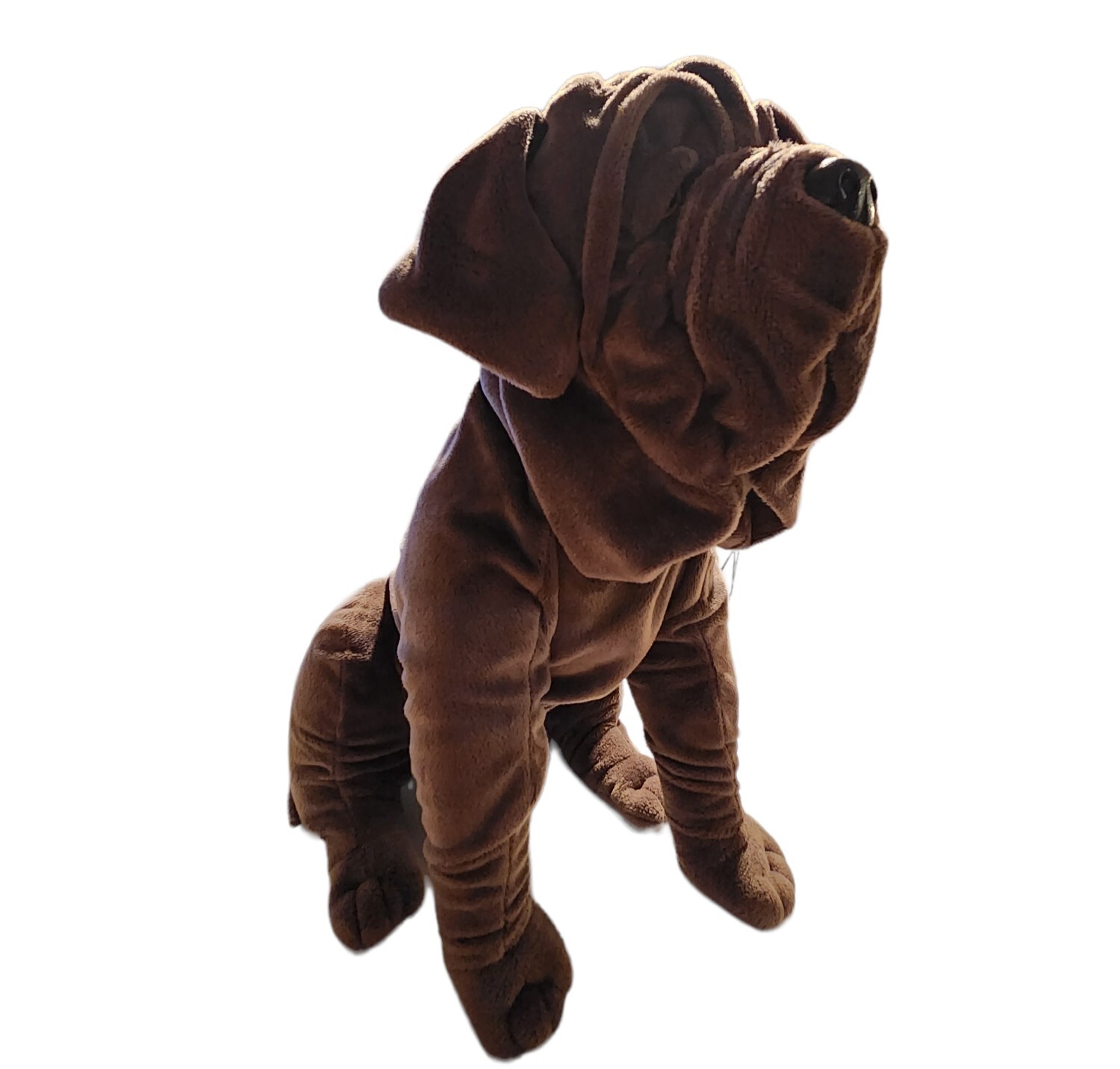 Wizarding World Of Harry Potter Hagrid's Dog Fang Universal Studio ...