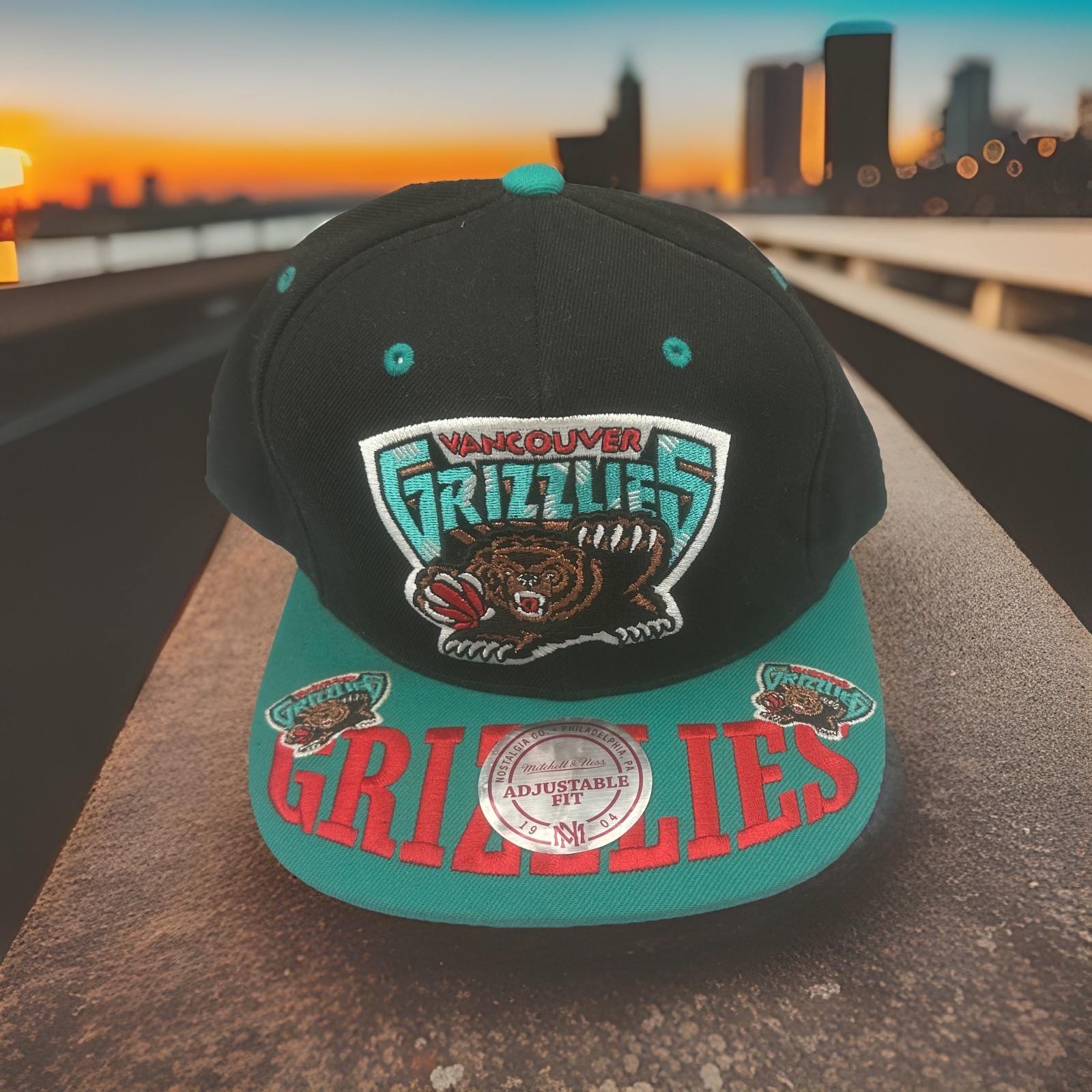 Vtg Vancouver Grizzlies Mitchell&Ness SnapBack OSFM hat cap throwback unisex ￼