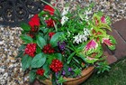 Bild 14 von 15