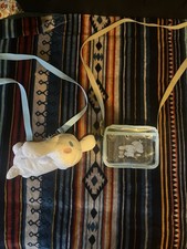 Sanrio Cinnamoroll Bags. Lot Of 2 . 1 Plush Bag And 1 Plastic See Through Bag.