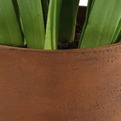 Uttermost 60242 Sincerity White and Green and Terracotta Potted Hyacinth Plant - Picture 4 of 5