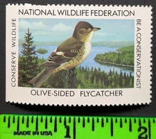 Olive-Sided Flycatcher National Wildlife Federation Poster Stamp