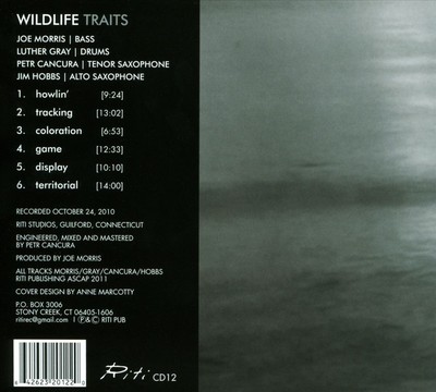 JOE MORRIS (GUITAR) - TRAITS [DIGIPAK] NEW CD