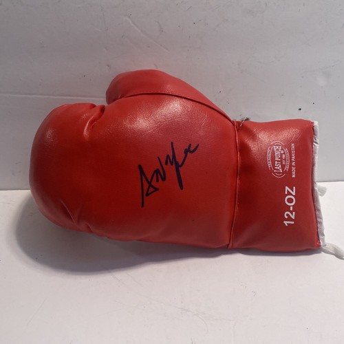 Ann Wolfe Hall Of Fame HOF Signed Autographed Auto Boxing Glove BG31 - Picture 9 of 12