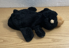 Bild 5 von 11