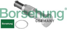 BORSEHUNG B1T022 Spanner f�r Steuerkette Kettenspanner Spanner f�r BMW
