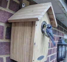 Bird Nest Box with Solar powered 2K WiFi Camera. Watch on Phone, Tablet, Alexa