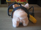 Foto 9 di 10