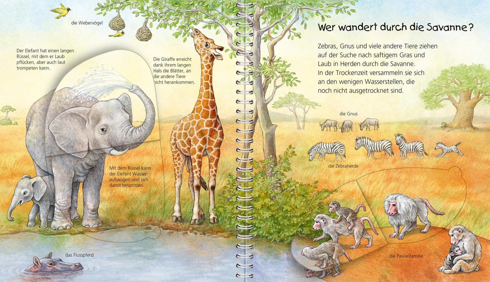 Thumbnail - Wieso? Weshalb? Warum? Mein Junior-lexikon: Tiere Anne Möller