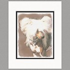 Chinese Crested Hairless Original Art Print 8x10 Matted to 11x14