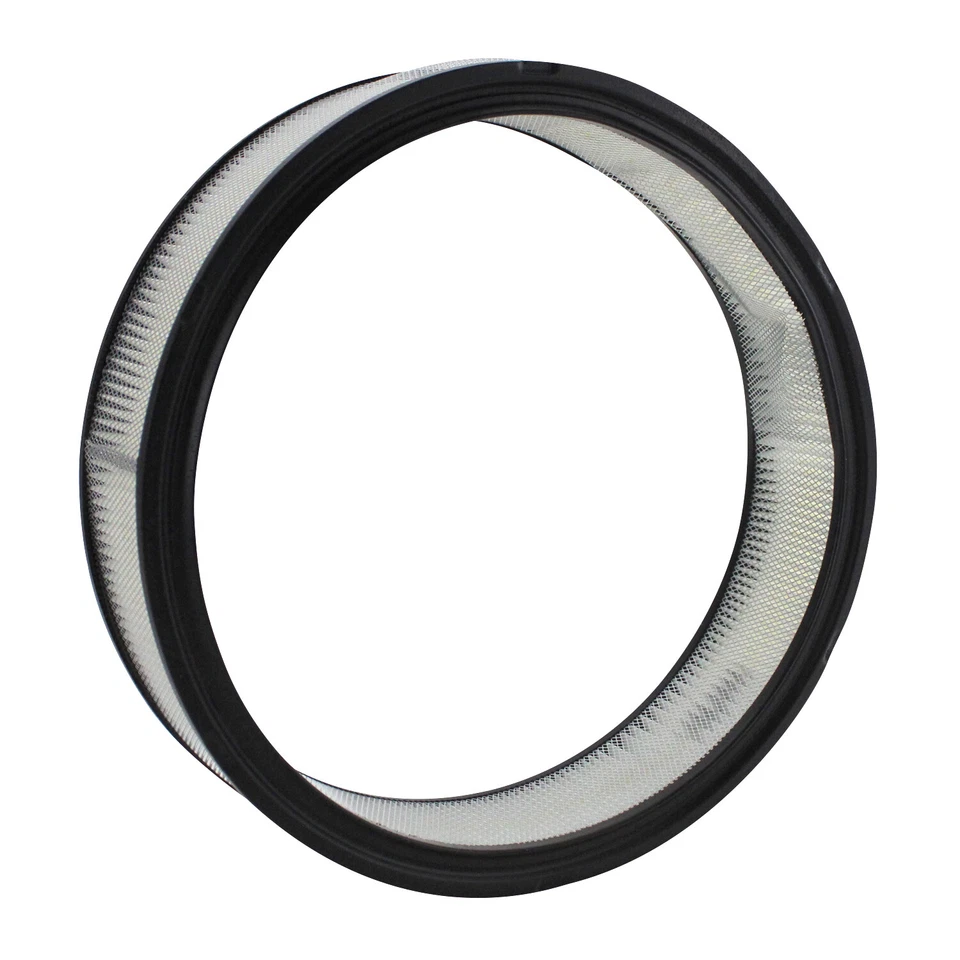 Filtro de aire WIX 42099 para chasis comercial Cadillac Calais Eldorado Fleetwood Foto 2 de 4