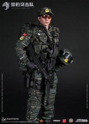 1/6 DamToys DAM 78052 Chinese Armed Force Snow Leopard